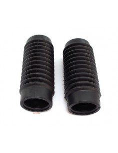 Fuelle  Horquilla Triumph