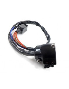 Interruptor Izquierdo Kawazaki